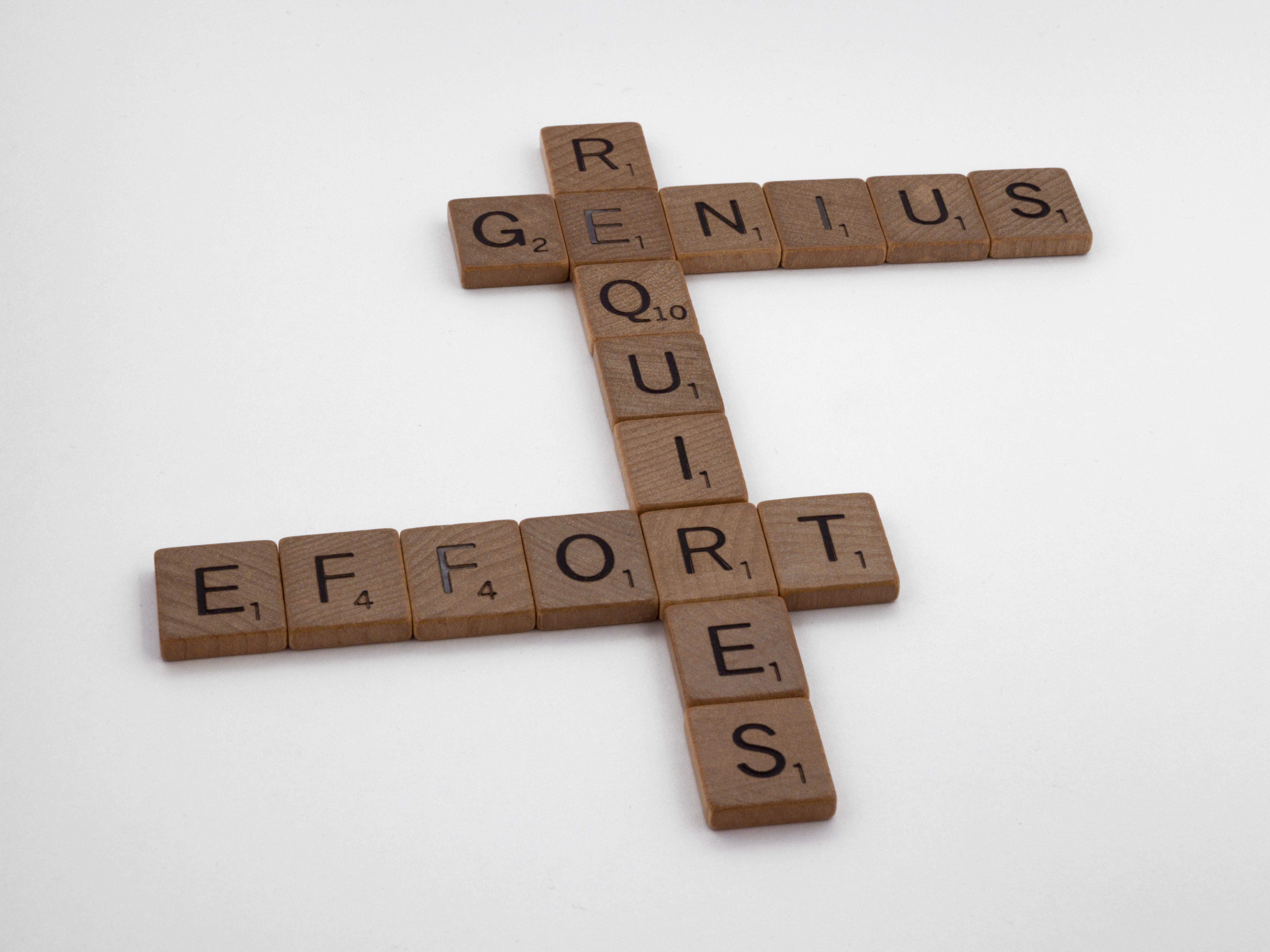 Strategy, operations and people — selected MMK outputs and typical questions answered